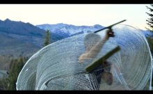 Window Cleaning in Ketchum